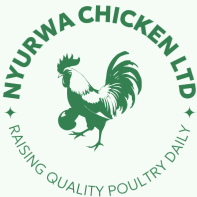 Nyurwa Chicken
