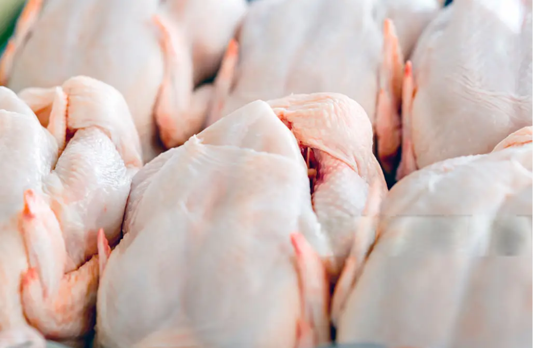 Fresh whole chicken meat